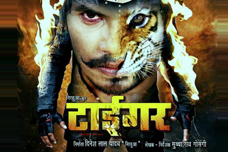 Pravesh Lal Yadav Tiger bhojpuri movie