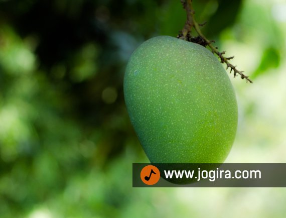 Beauty benefits of mango